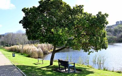 Outing May 2026 – Majik Forest