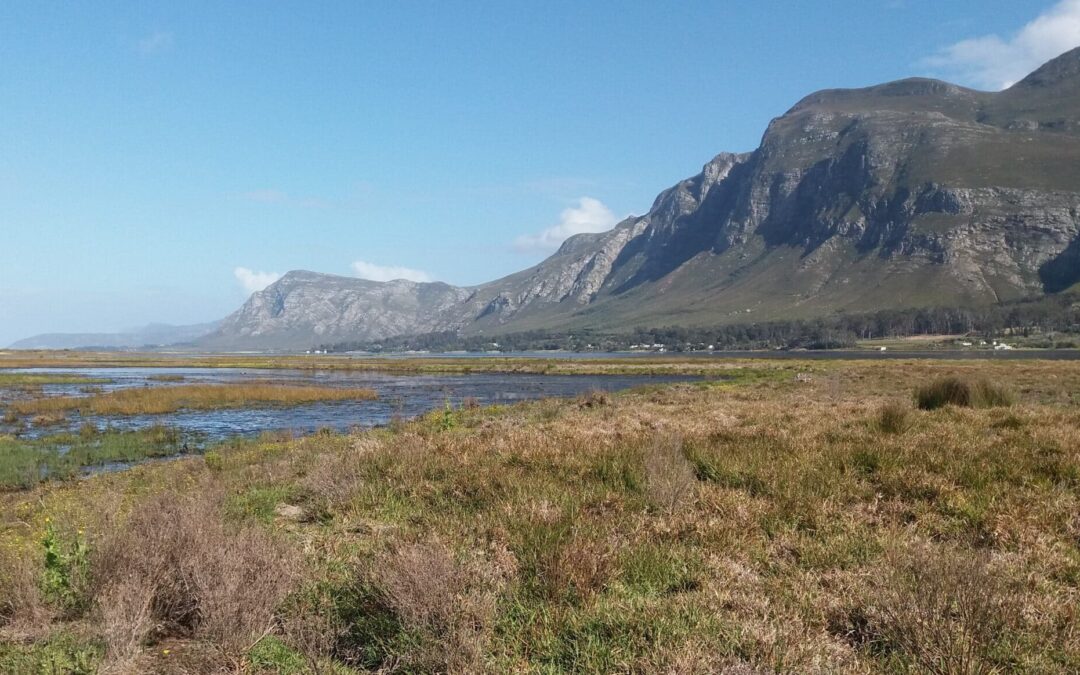 Monthly Meeting July 2026 – Western Cape Estuaries