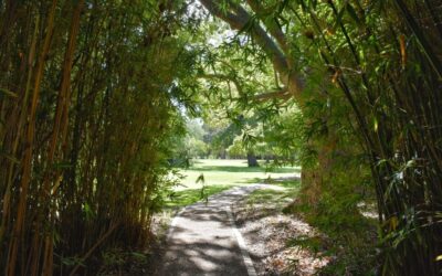 Outing September 2026 – Vergelegen